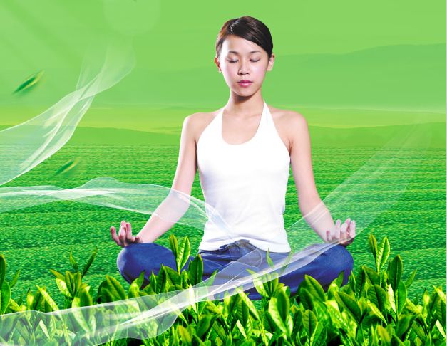 东南圣经学院文凭毕业证哪里可以做假的